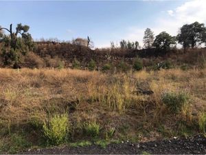 Terreno en Venta en San Mateo Tezoquipan Miraflores Chalco