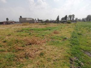 Terreno en Venta en San Miguel Tocuila Texcoco