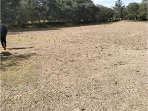 Terreno en Venta en Chignahuapan Chignahuapan