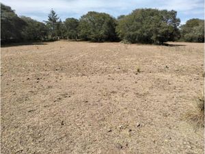 Terreno en Venta en Chignahuapan Chignahuapan