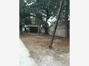 Casa en Renta en Residencial Park Ixtapaluca