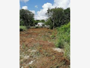 Terreno en Venta en Baca Baca