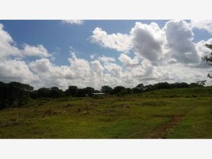 Terreno en Venta en Izamal Izamal