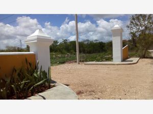 Terreno en Venta en Izamal Izamal