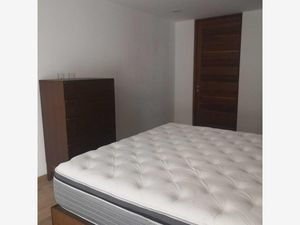 Departamento en Venta en Polanco V Sección Miguel Hidalgo