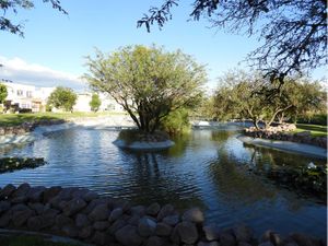 Terreno en Venta en Real del Bosque Corregidora