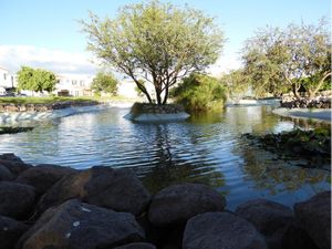 Terreno en Venta en Real del Bosque Corregidora