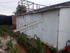 Bodega en Venta en San Andres Ixtlan Gómez Farías