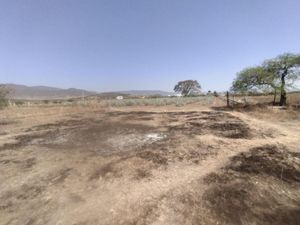 Terreno en Venta en San Jeronimo Tlacochahuaya San Jerónimo Tlacochahuaya