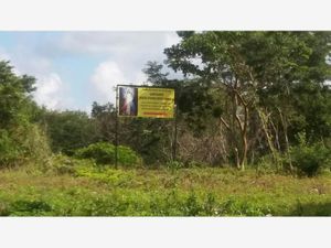 Terreno en Venta en San Juan Izamal Izamal