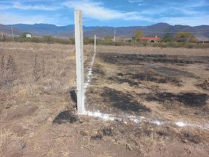 Terreno en Venta en San Andres Huayapam San Andrés Huayapam