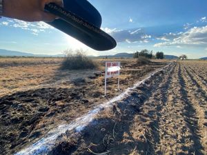 Terreno en Venta en San Jeronimo Tlacochahuaya San Jerónimo Tlacochahuaya