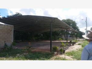 Terreno en Venta en San Juan Izamal Izamal