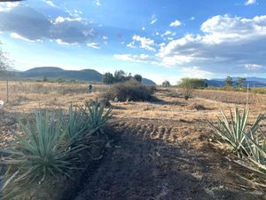 Terreno en Venta en San Jeronimo Tlacochahuaya San Jerónimo Tlacochahuaya