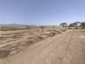 Terreno en Venta en San Jeronimo Tlacochahuaya San Jerónimo Tlacochahuaya