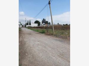 Terreno en Venta en San Rafael Comac San Andrés Cholula