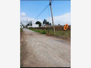 Terreno en Venta en San Rafael Comac San Andrés Cholula