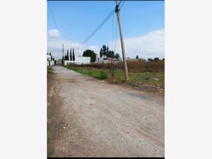 Terreno en Venta en San Rafael Comac San Andrés Cholula