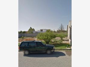 Terreno en Venta en Residencial los Fresnos Torreón