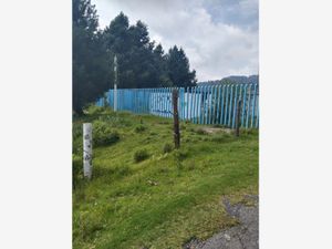 Terreno en Venta en San Francisco Chimalpa Naucalpan de Juárez