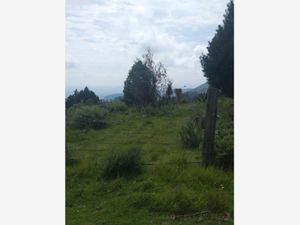 Terreno en Venta en San Francisco Chimalpa Naucalpan de Juárez