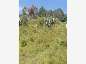 Terreno en Venta en San Francisco Chimalpa Naucalpan de Juárez