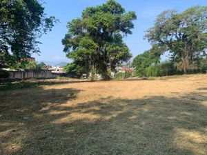 Terreno en Venta en El Porvenir Coatepec