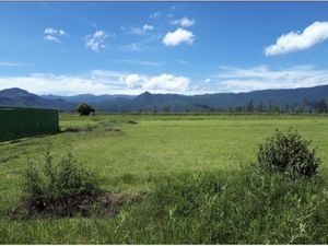 Terreno en Venta en Ixtapan de la Sal Ixtapan de la Sal