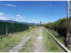 Terreno en Venta en Ixtapan de la Sal Ixtapan de la Sal