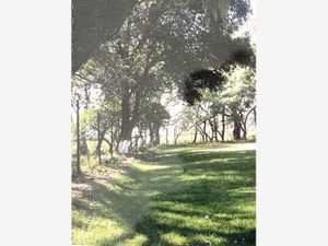 Terreno en Venta en Santa Cruz Tepotzotlán