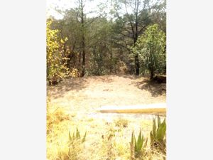 Terreno en Venta en San Martinito Tlahuapan