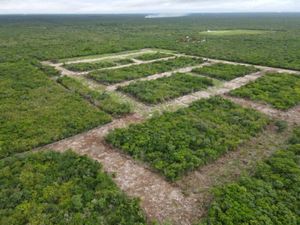 Terreno en Venta en Chicxulub Chicxulub Pueblo