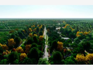 Terreno en Venta en Chicxulub Chicxulub Pueblo