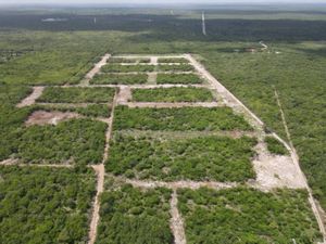 Terreno en Venta en Chicxulub Chicxulub Pueblo