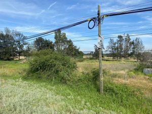 Terreno en Renta en Ampliación los Ángeles Corregidora