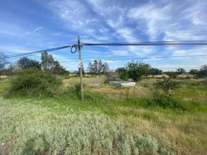 Terreno en Renta en Ampliación los Ángeles Corregidora