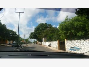 Terreno en Venta en Izamal Izamal