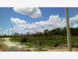 Terreno en Venta en Izamal Izamal