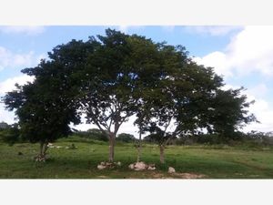 Terreno en Venta en Izamal Izamal