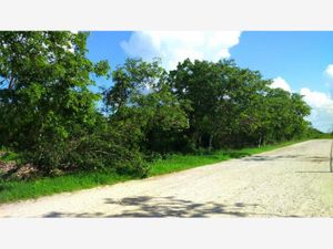 Terreno en Venta en Izamal Izamal