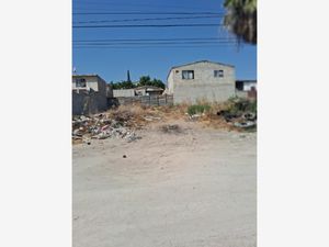 Terreno en Venta en Ejido Francisco Villa Tijuana