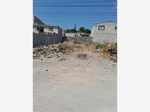 Terreno en Venta en Ejido Francisco Villa Tijuana