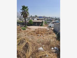 Terreno en Venta en Ejido Francisco Villa Tijuana