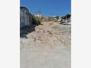 Terreno en Venta en Ejido Francisco Villa Tijuana