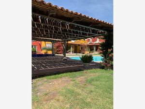 Casa en Renta en La Lejona San Miguel de Allende