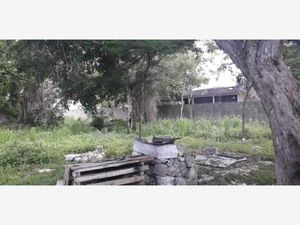 Terreno en Venta en Ejidal Solidaridad