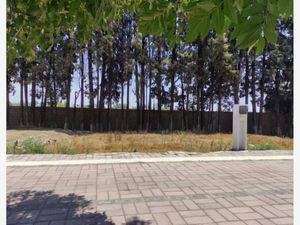 Terreno en Venta en Cholula San Pedro Cholula