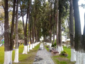 Terreno en Venta en Cholula San Pedro Cholula