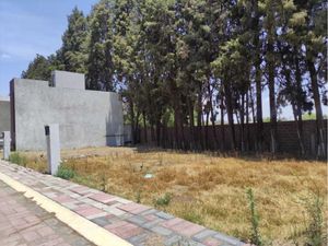 Terreno en Venta en Cholula San Pedro Cholula