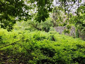 Terreno en Venta en Santiago Tepetlapa Tepoztlán